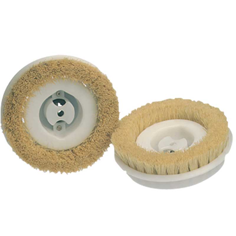 1 Koblenz Shampoo / Chemical 4501359 / Polish Brushes (Pr) T / F Regina / Fl Mach, Regina