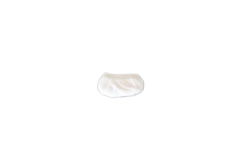 1 Royal Vacuum Part 440001017 / Cloth Cleaning Pad Small