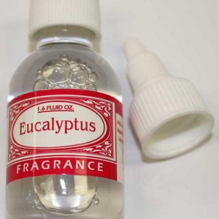 1 Fragrances Ltd Vacuum Part EUCALYPTUS / Eucalyptus FRAGRANCE-1.6oz / Oil Base