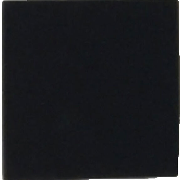 1 Bissell Vacuum Filter 1613062 Canister / Foam, Pre Motor 2154 Zing