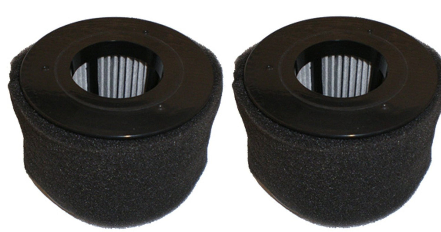 BISSELL 54A2 PowerEdge Filter Replacement (2 Pack)