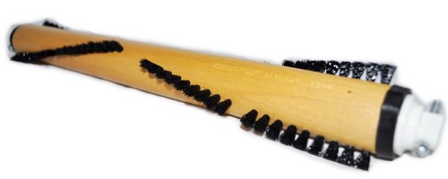 Kirby Legend II Brushroll