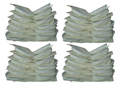 EnviroCare 48 Airway Sanitizor Vacuum Bags canister A-144 66 77 88 SaniClean Centurion Blue Wonder Sanitizor Green Goddess Tom Gasko Vacuum Cleaners AR-1400ES 405094 Airway type S X