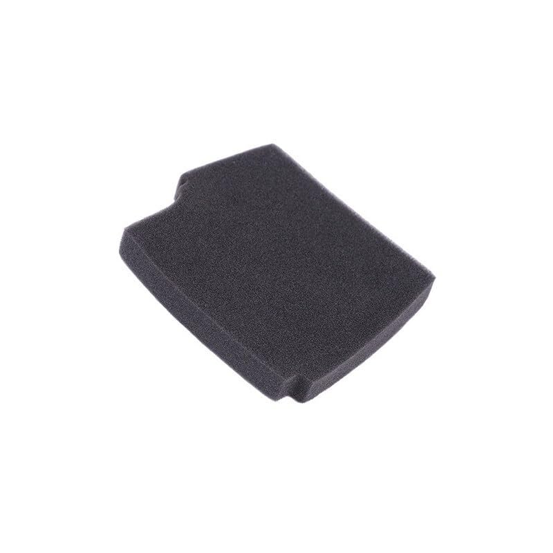 1 Electrolux / Eureka Vacuum Filter 118195301 / Sound Absorber EL7060, 61, 63