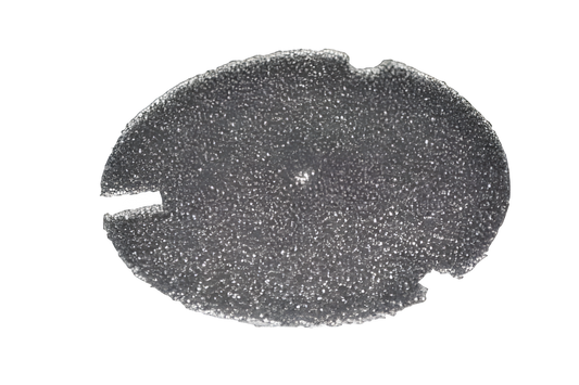 1 Hoover Vacuum Filter 440009175 / Inlet CH34006 Back PACKCH93619