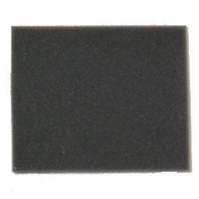 1 Bissell 3590-1 BAGLESS / CAN SUB 19-2321-07 Vacuum Filter 2031073 Pre Filter Canister No Longer Available