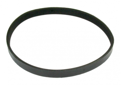 1 Advance Vacuum Belt 56327476 / Kent, Poly V, Select Track 17, Comm. Steamer
