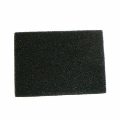 1 Bissell Vacuum Filter 2037082 / Foam, Motor, 7700 Big Green