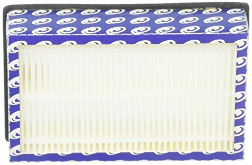 ProTeam Filter, Hepa Shv100 1200XP 1500XP Cartridge