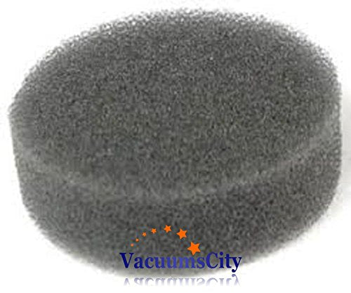 Kirby Model D50, 2CB Rug Renovator Shampoo Tank Sponge Filter Part # 307364G