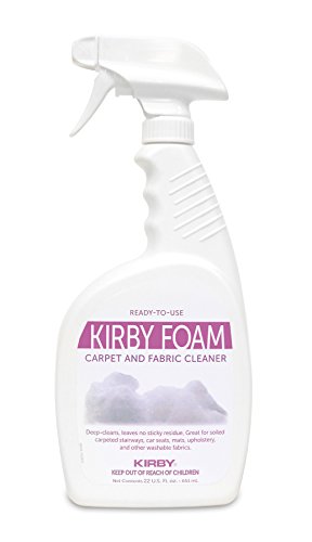 Kirby 289215S Foam 22 Oz 12/Cs