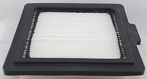 Bissell Flip It Air Filter, Model 5200, 2036705