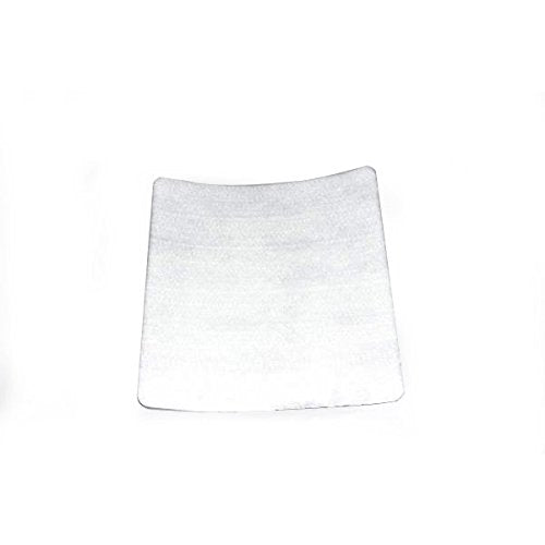 Replacement Part For Electrolux Renaissance Laminated Vacuum Cleaner Filter # compare to part 807F