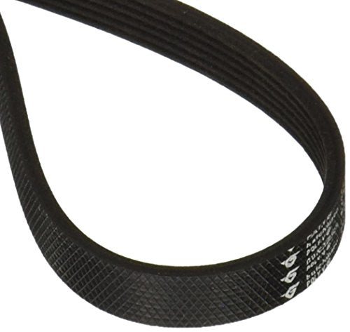 Hoover Belt, Serpentine Brushroll Uh30010